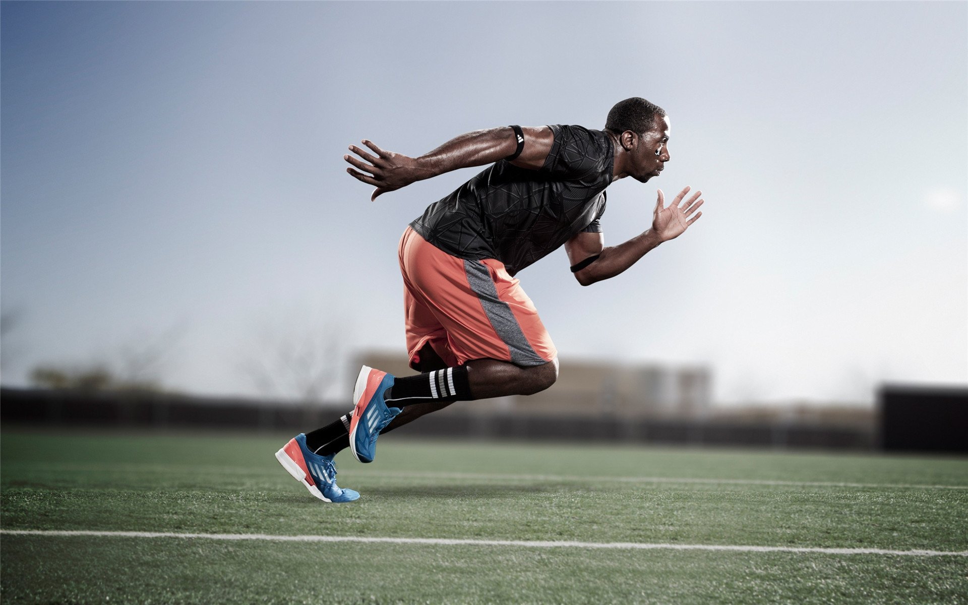 “高手对决：联盟顶级杜鹃王的精彩表现”