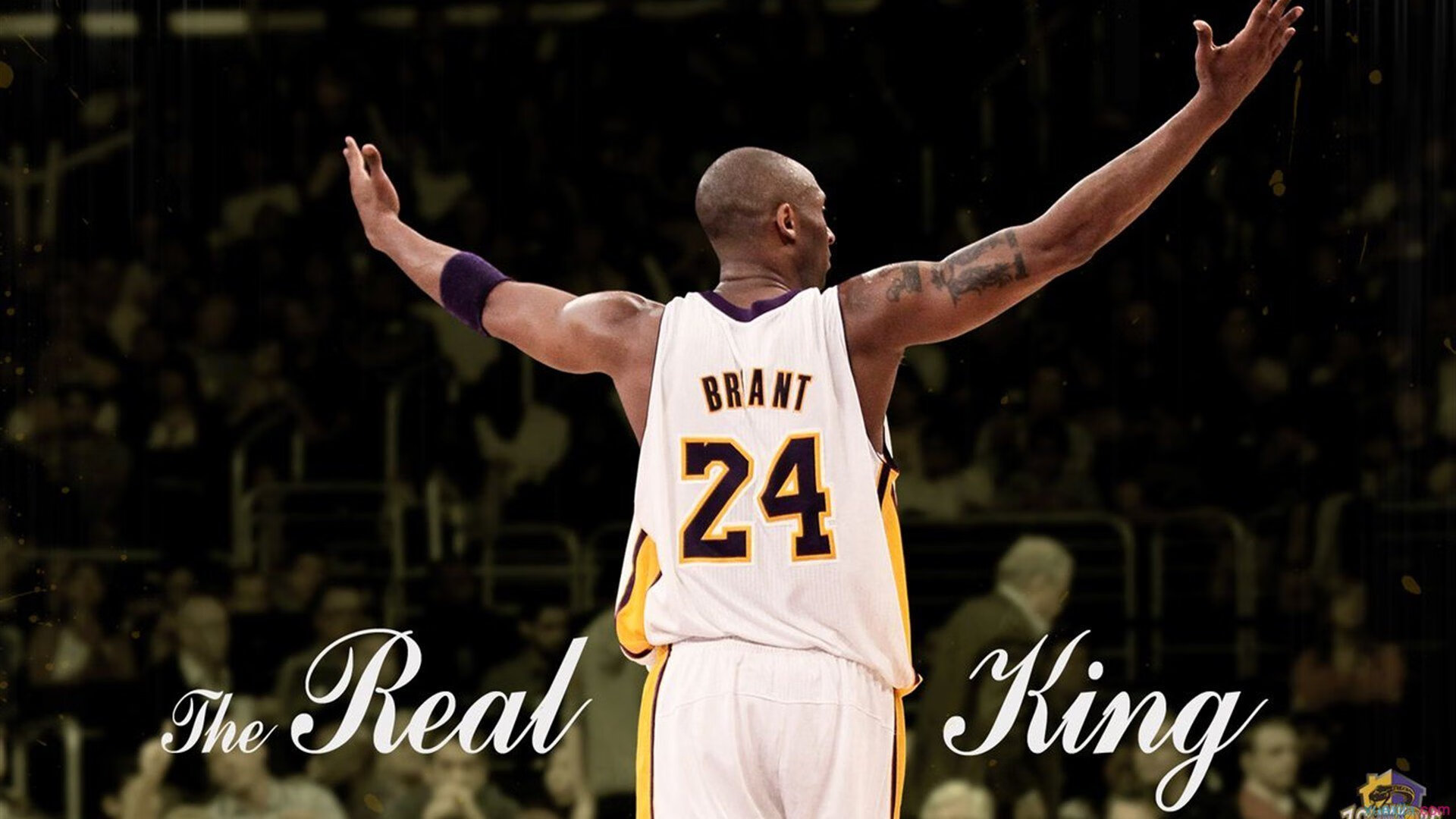 《AI裁判在比赛中的应用：提升公平性与效率》，ai裁判最早应用于哪年世界体操